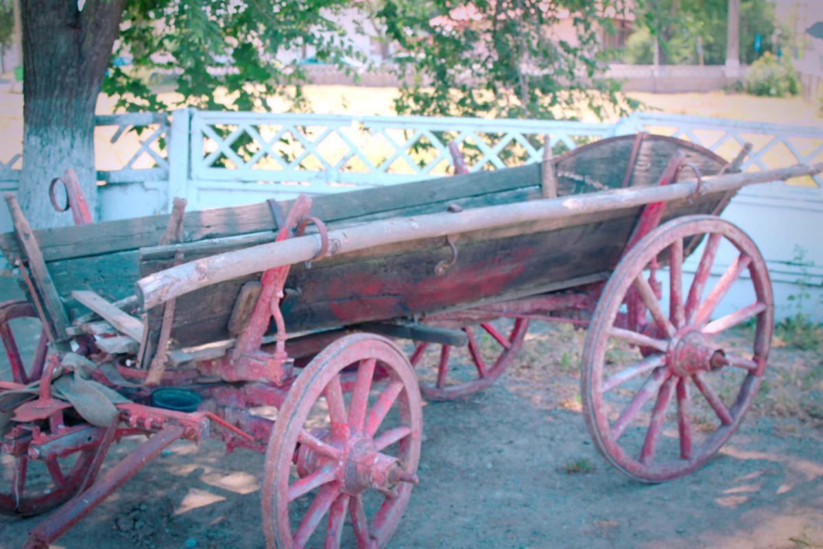 Sărbătorile şi obiceiurile de pe axa vieţii Sărbătorile şi obiceiurile de pe axa vieţii