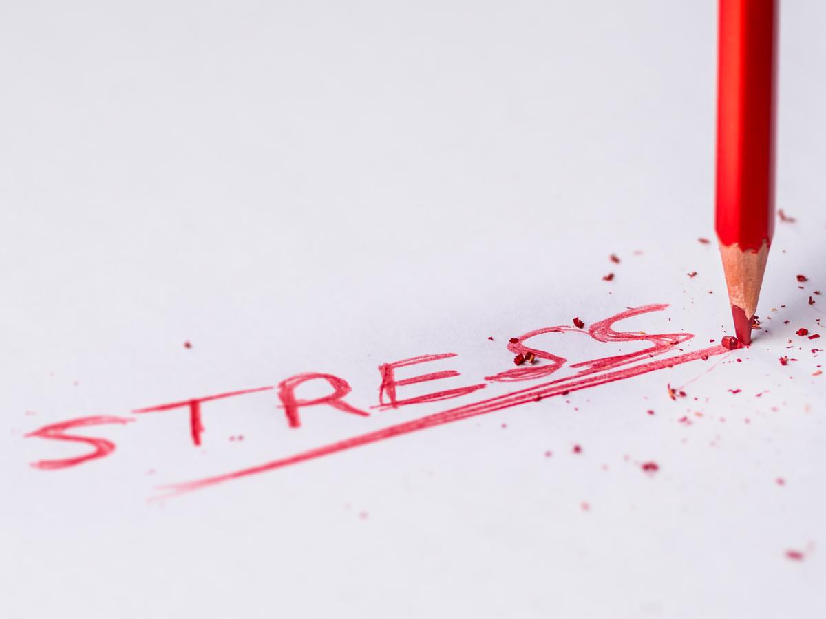 Stress – It’s Not All In Your Head Stress – It’s Not All In Your Head