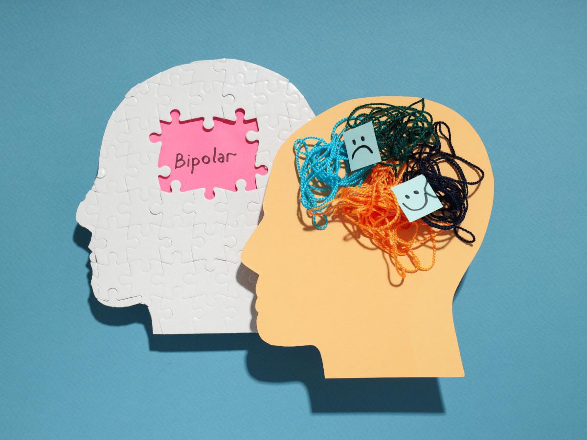 An Introduction To Bipolar Disorder An Introduction To Bipolar Disorder