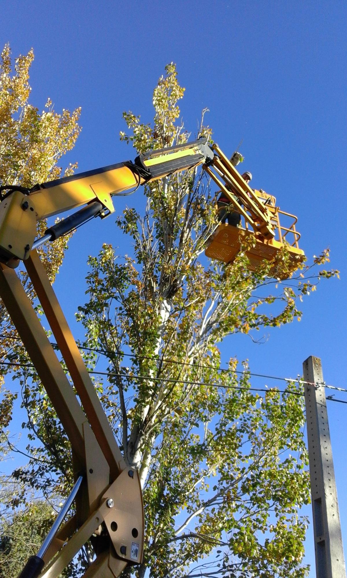 Mantenimiento Mantenimiento