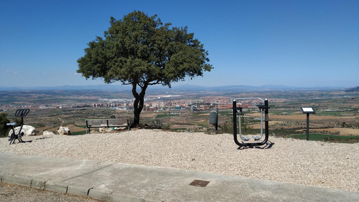 ELEMENTOS SALUDABLES ELEMENTOS SALUDABLES