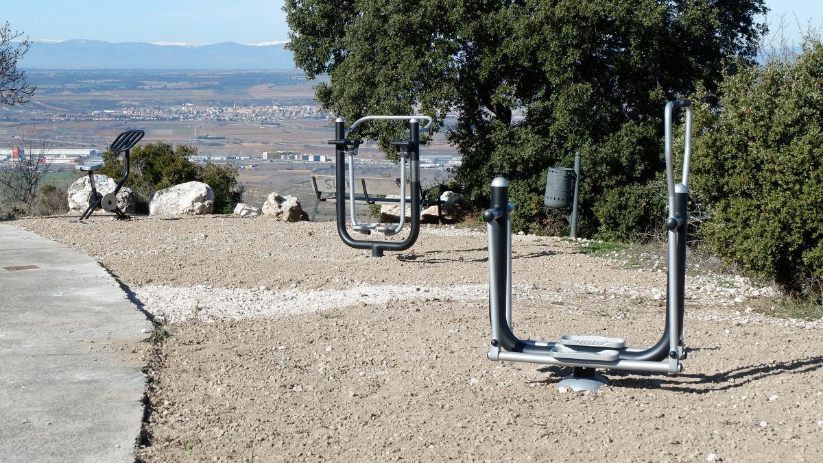 ELEMENTOS SALUDABLES ELEMENTOS SALUDABLES