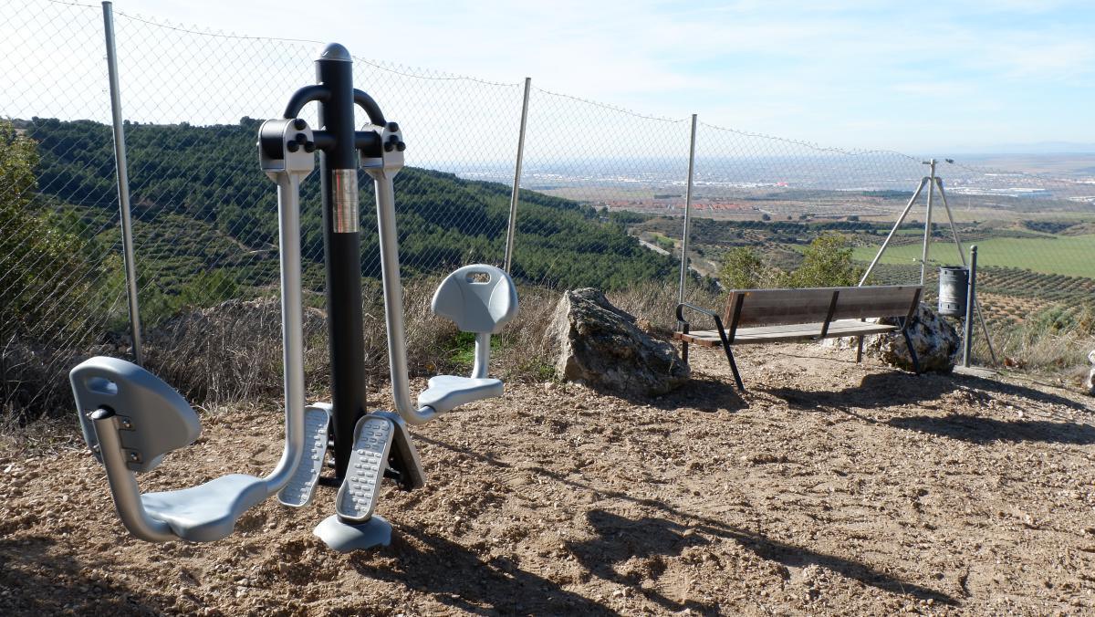 ELEMENTOS SALUDABLES ELEMENTOS SALUDABLES