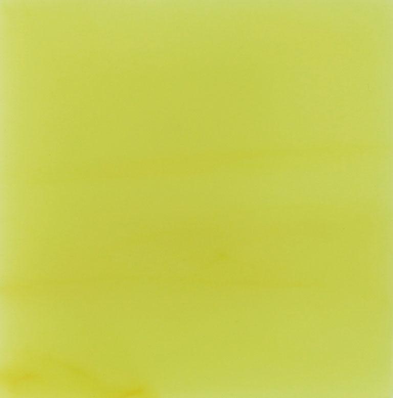 Yellow Comb