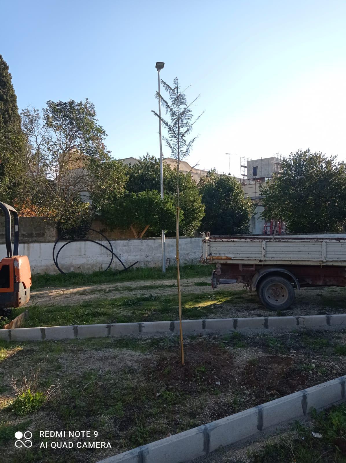 Lavori del centro sportivo di MammaBella