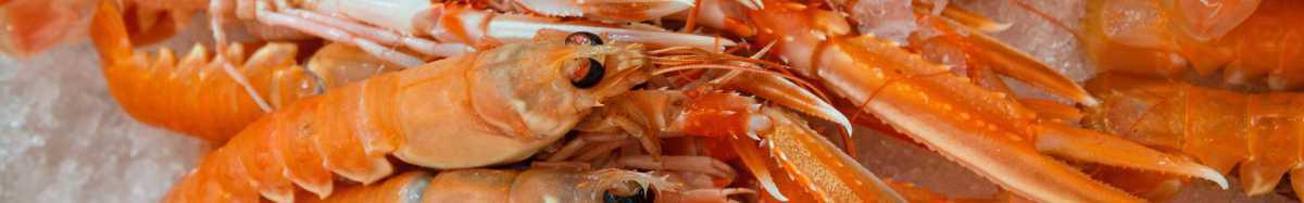 Mes produits de printemps Mes produits de printemps