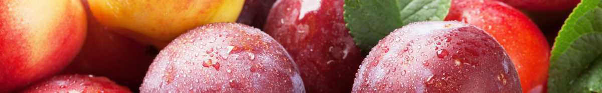 Mes produits d'été Mes produits d'été