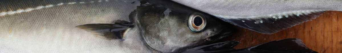 Mes produits d'automne Mes produits d'automne