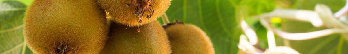 Mes produits d'hiver Mes produits d'hiver