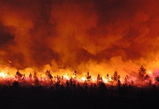 kabylie: 1550 arbres fruitiers partis en fumée à Tizi Wezzu