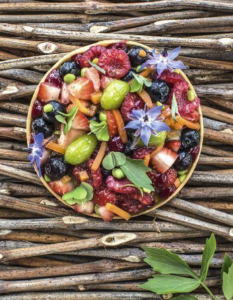 Tartelettes-legumes-fruits-rouges-et-sorbet-liveche