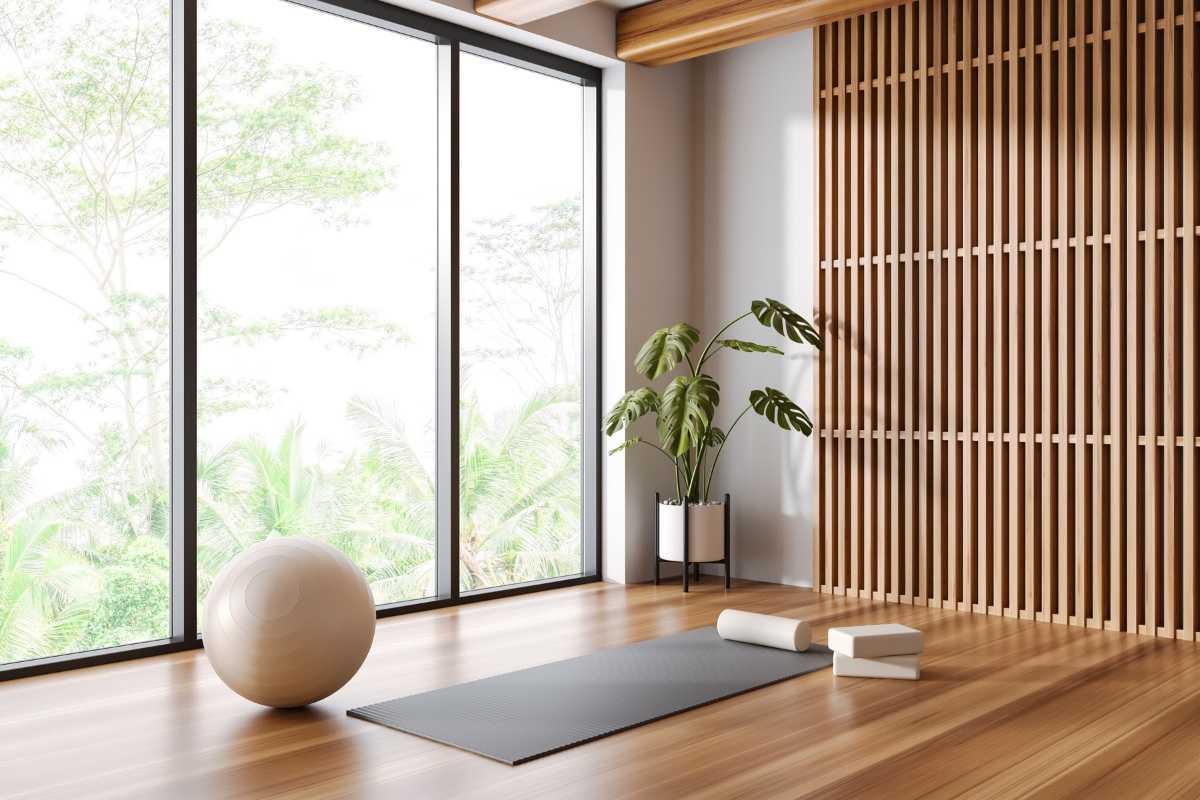 Wellness Area and Gym