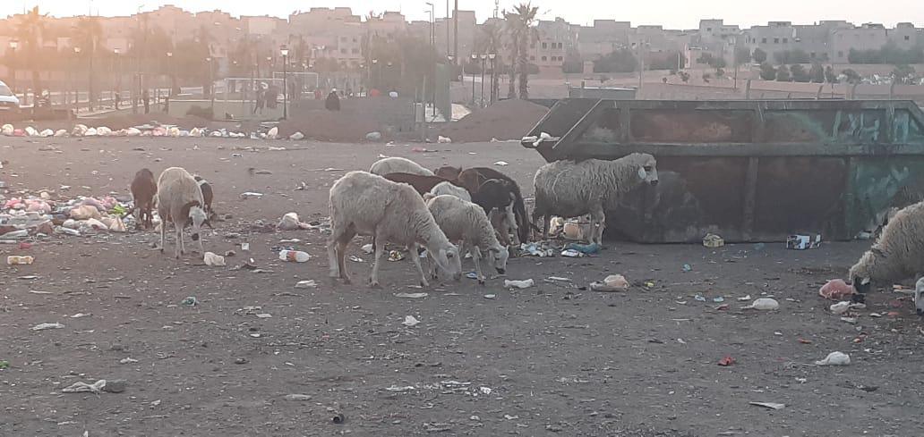 ابن جرير :اجتياح غير مبرر لأرصفة الشوارع بالمدينة....أزبال متراكمة وحدائق عمومية تحتضر !