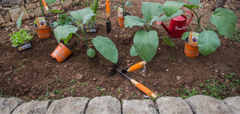 Individua il Posto Individua il Posto