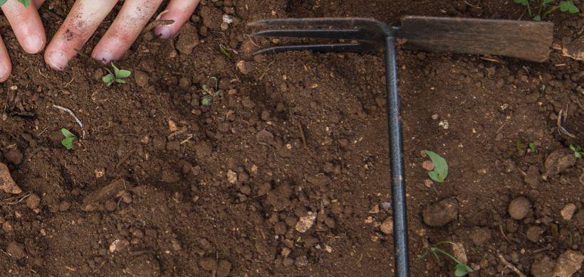 Prepara il Terreno Prepara il Terreno