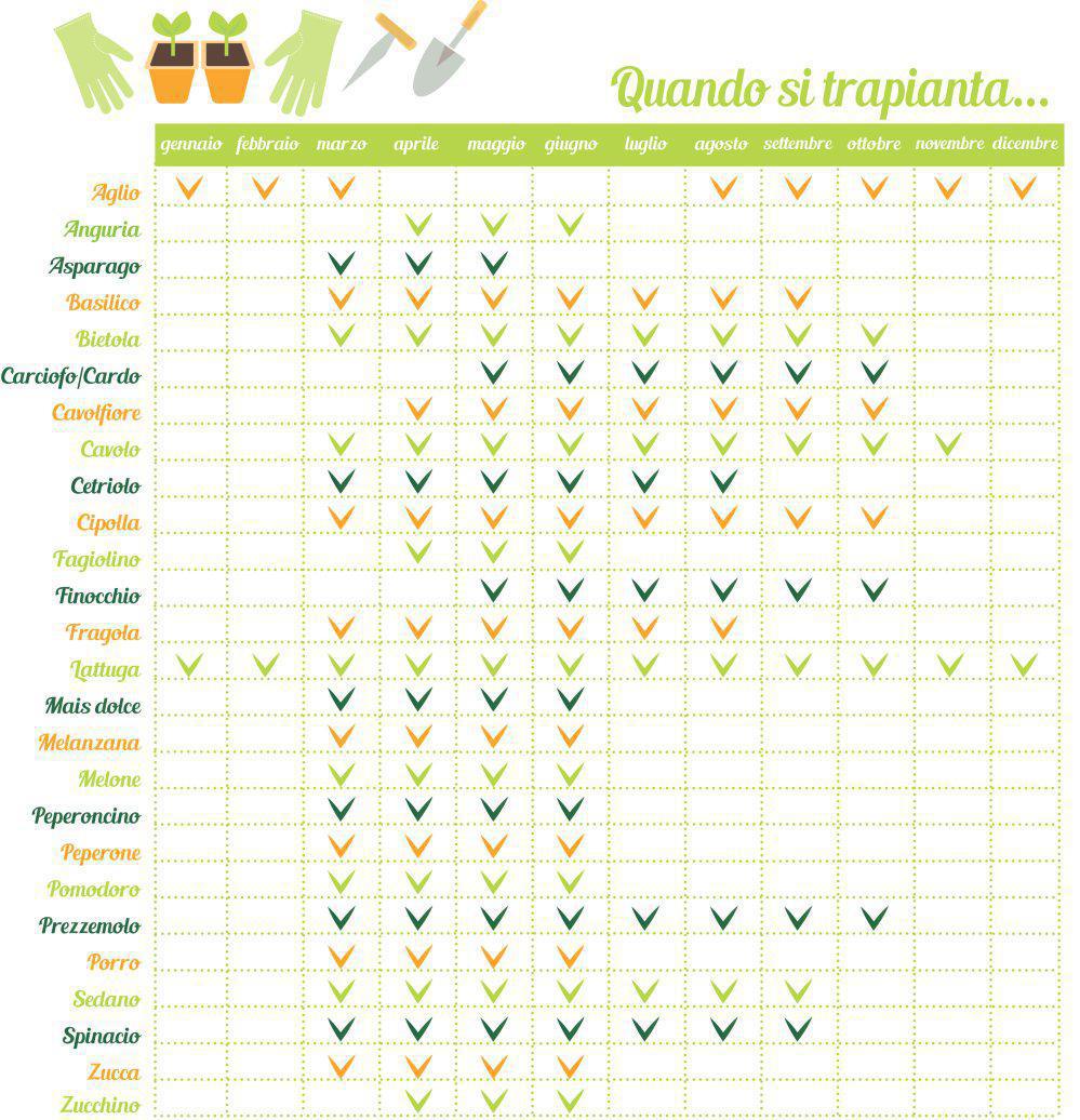 Calendari di Trapianto e Raccolta Calendari di Trapianto e Raccolta