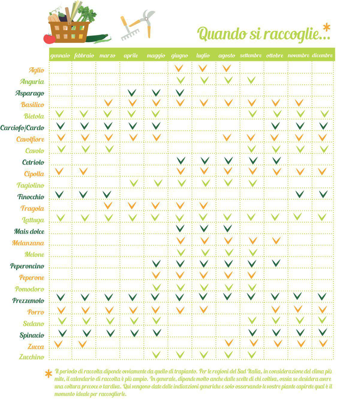 Calendari di Trapianto e Raccolta