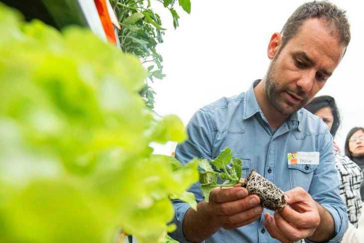 Intervista al Tecnico Intervista al Tecnico