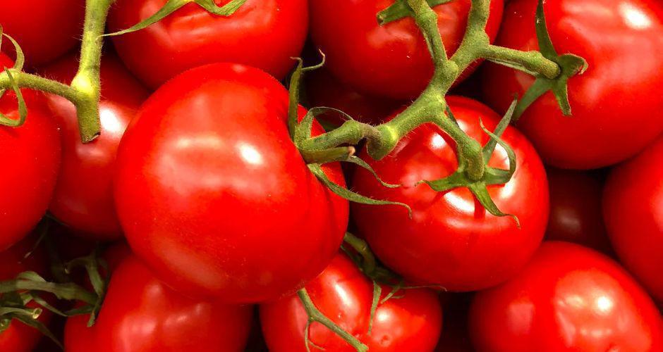 Coltivare Pomodori Coltivare Pomodori