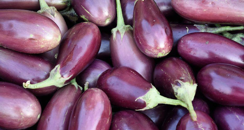 Coltivare Melanzane Coltivare Melanzane