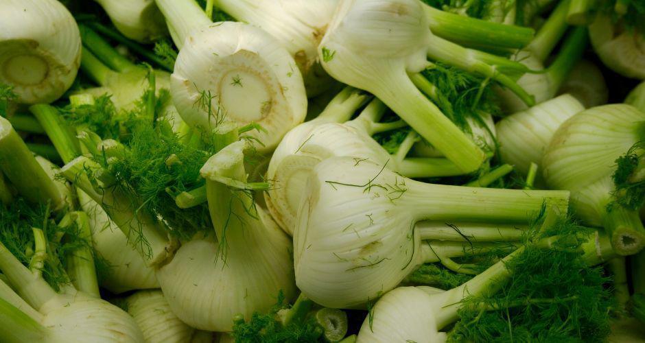 Coltivare Finocchi Coltivare Finocchi