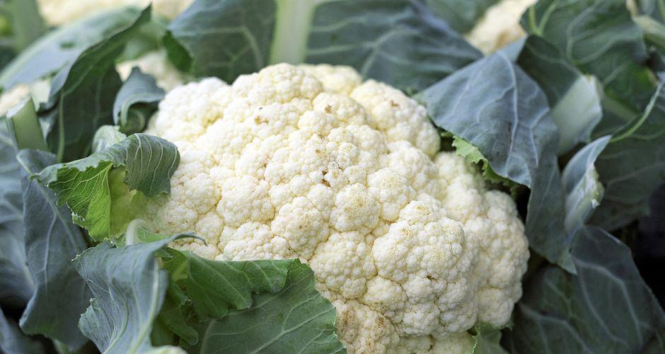 Coltivare Cavoli e Cavolfiori Coltivare Cavoli e Cavolfiori