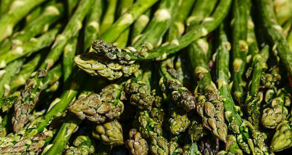 Coltivare Asparagi Coltivare Asparagi