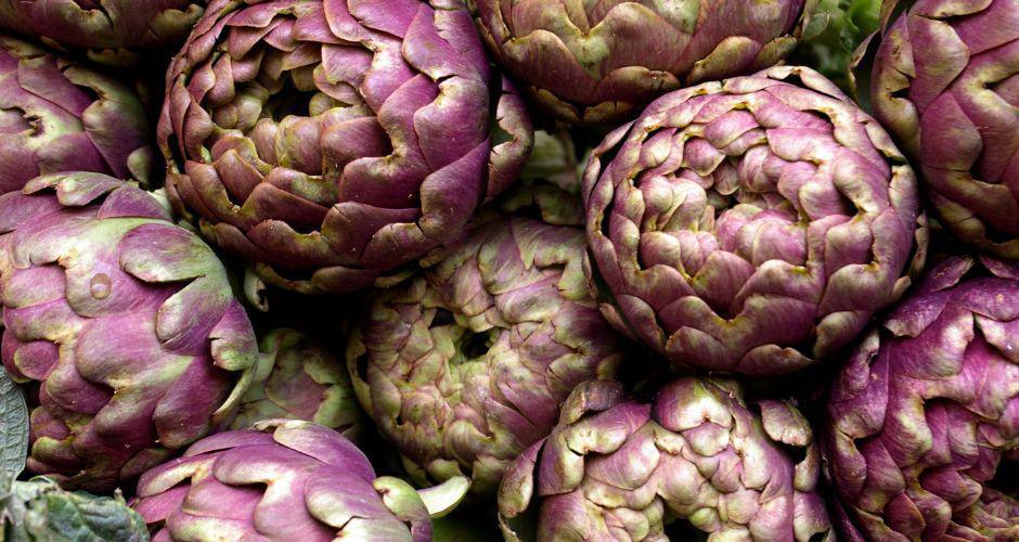 Coltivare Carciofi Coltivare Carciofi