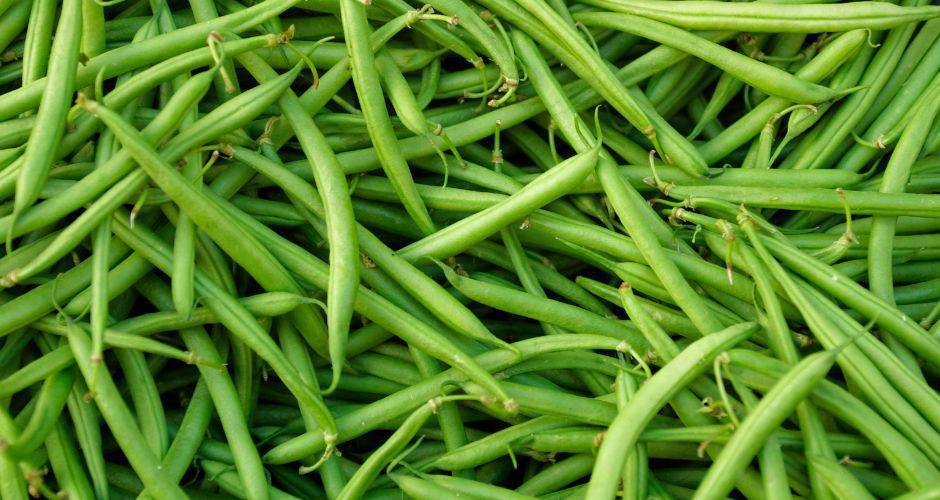 Coltivare Fagiolini Coltivare Fagiolini