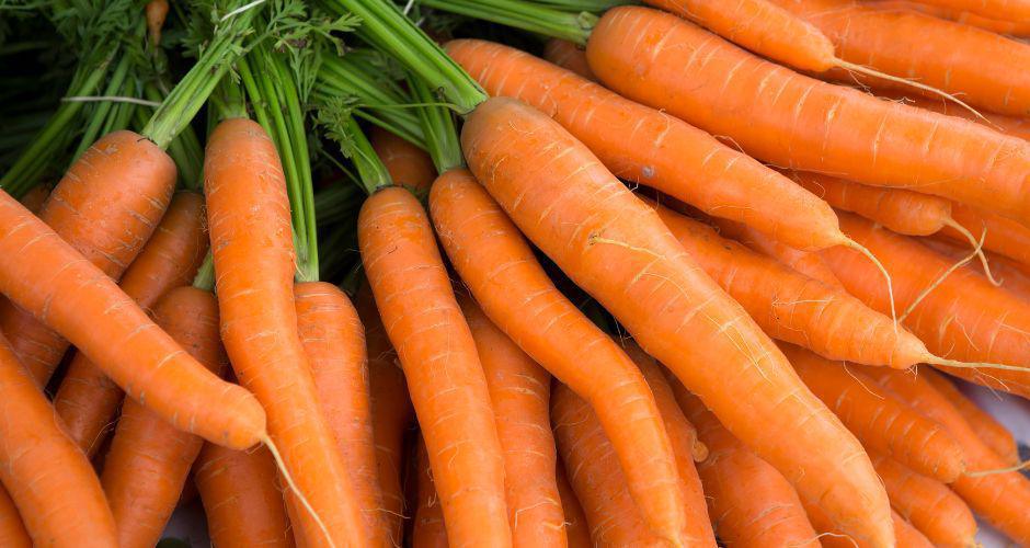 Coltivare Carote Coltivare Carote