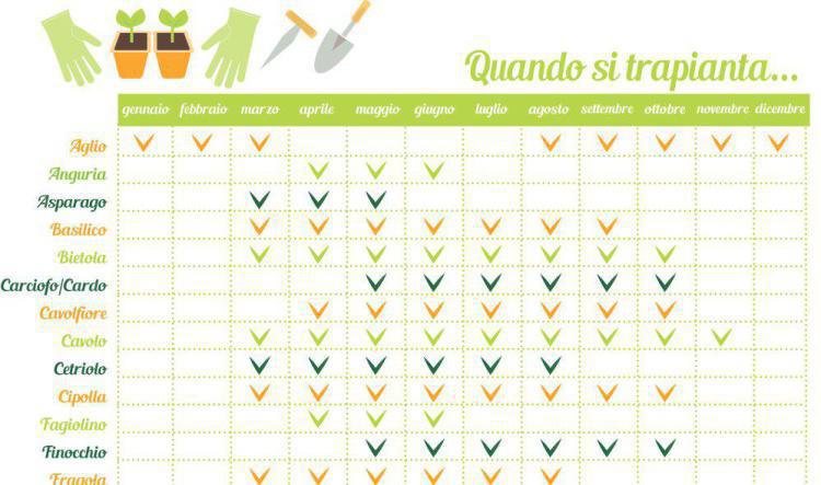 Calendari di Trapianto e Raccolta