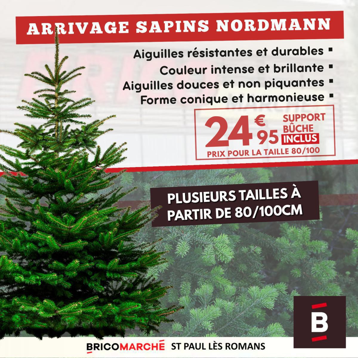 PROMOS du MOMENT ! Du 10 au 15 novembre