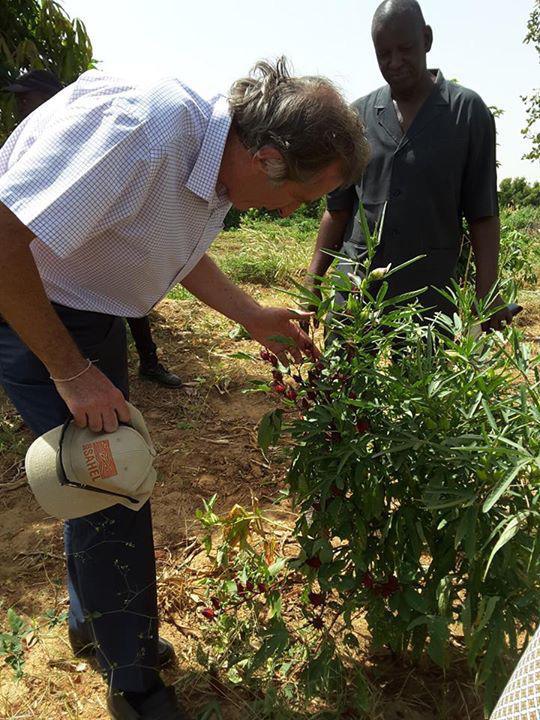 Tournée de l’ ambassadeur de la France Christophe Bigot, à Matam, Podor, Bokhol et Bakel
