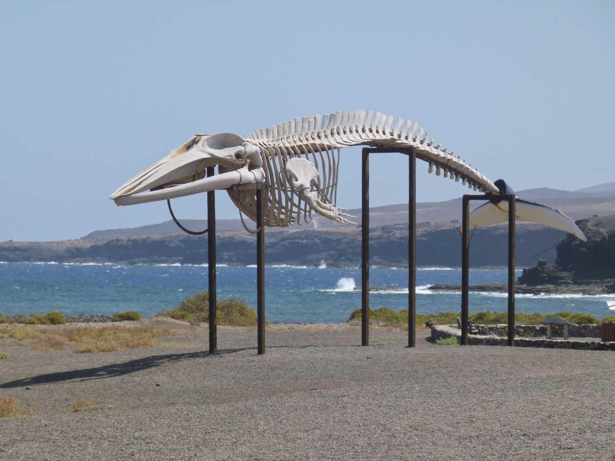 Museo de las Salinas del Carmen Museo de las Salinas del Carmen