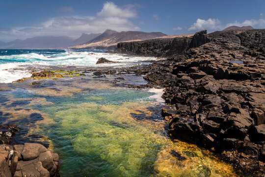 Punta Percebre Punta Percebre