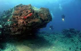 2 horas de bautizo de buceo en Caleta de Fuste