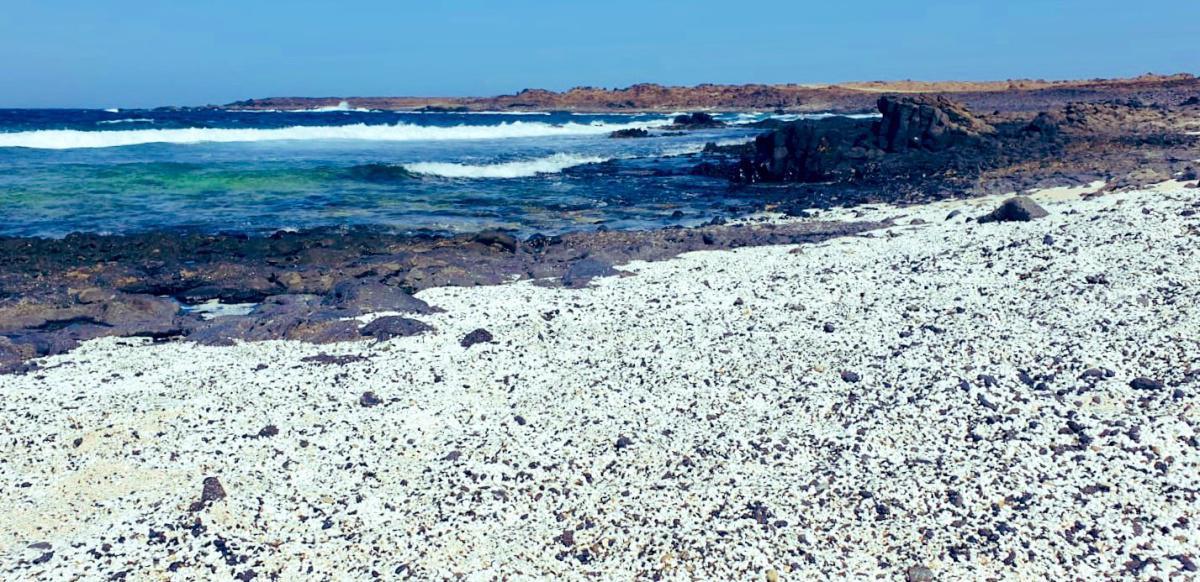 Los Rolitos in pericolo ``Pop Corn Beach´´ Los Rolitos in pericolo ``Pop Corn Beach´´