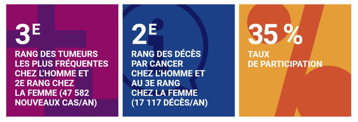 Le dépistage en France  Le dépistage en France