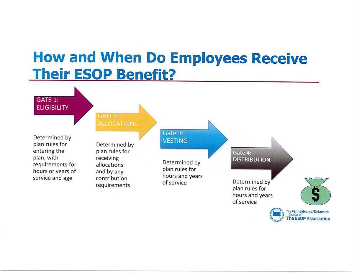 New Participants to the ESOP in 2022 New Participants to the ESOP in 2022