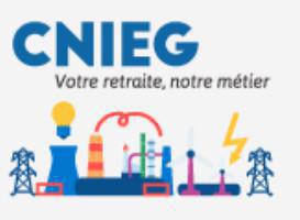 DÉCLARATION DES ADMINISTRATEURS SALARIÉS DE LA CNIEG*