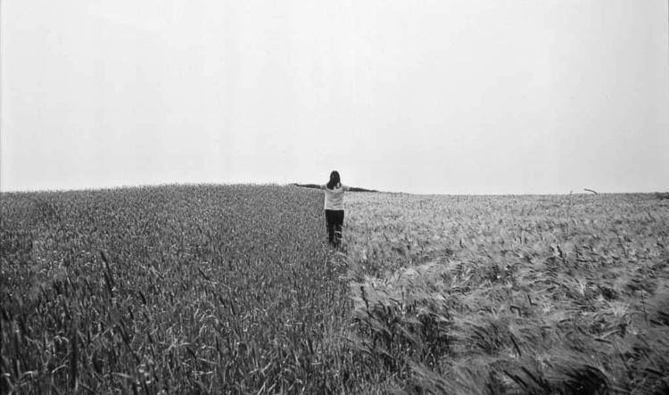 Conférence « mille paysages » par Christophe Veys