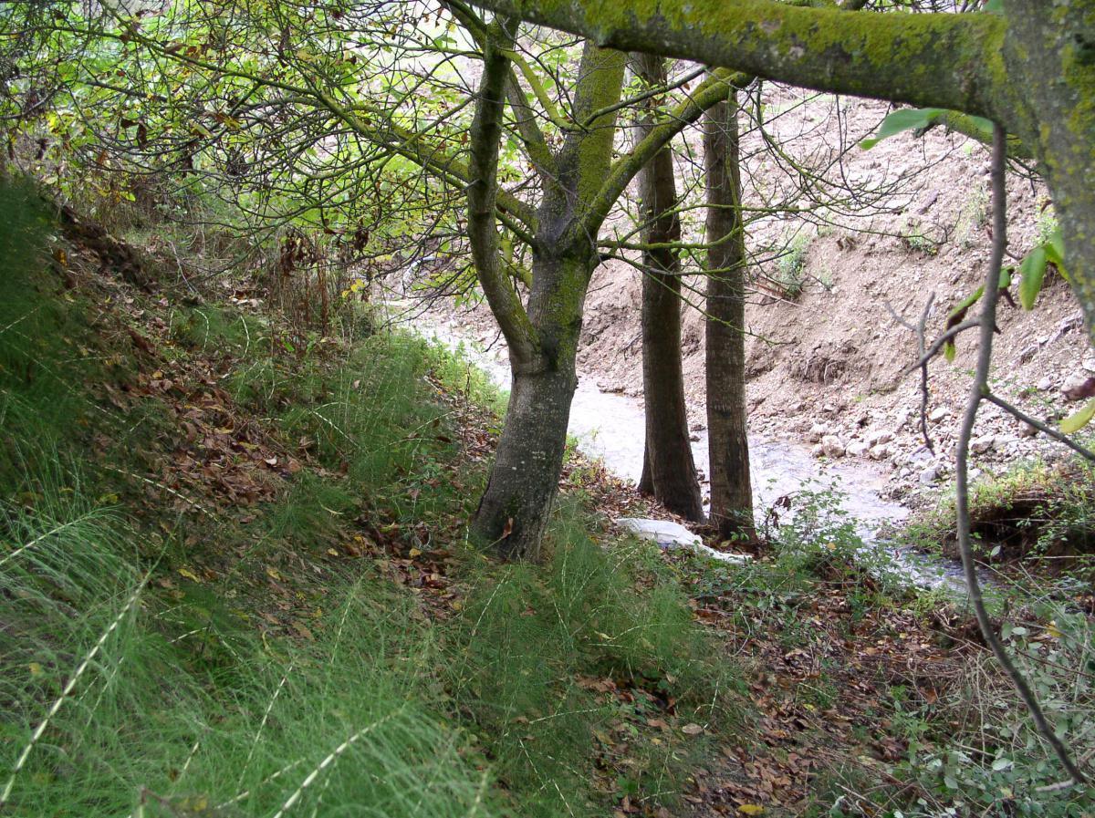 2. Water route
