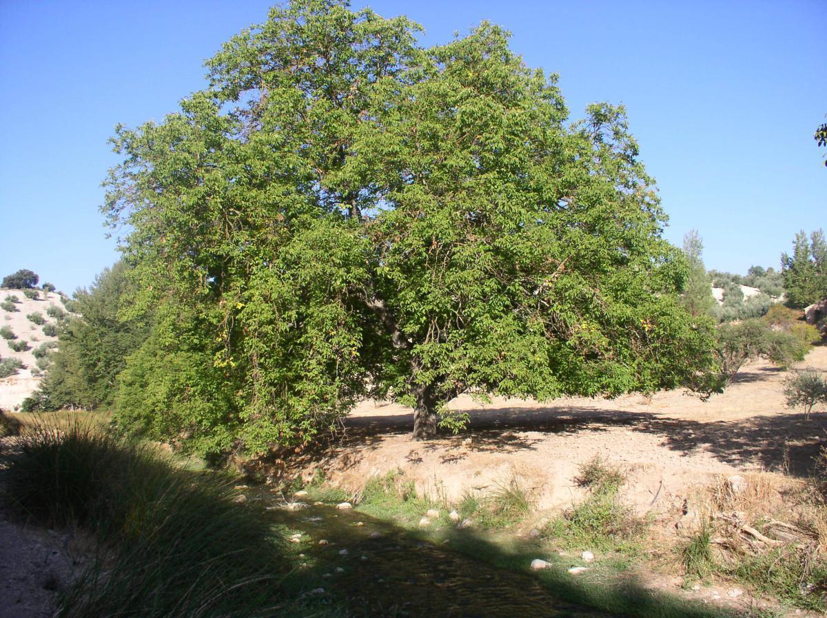 4. Route of the Rivers and their habitats.