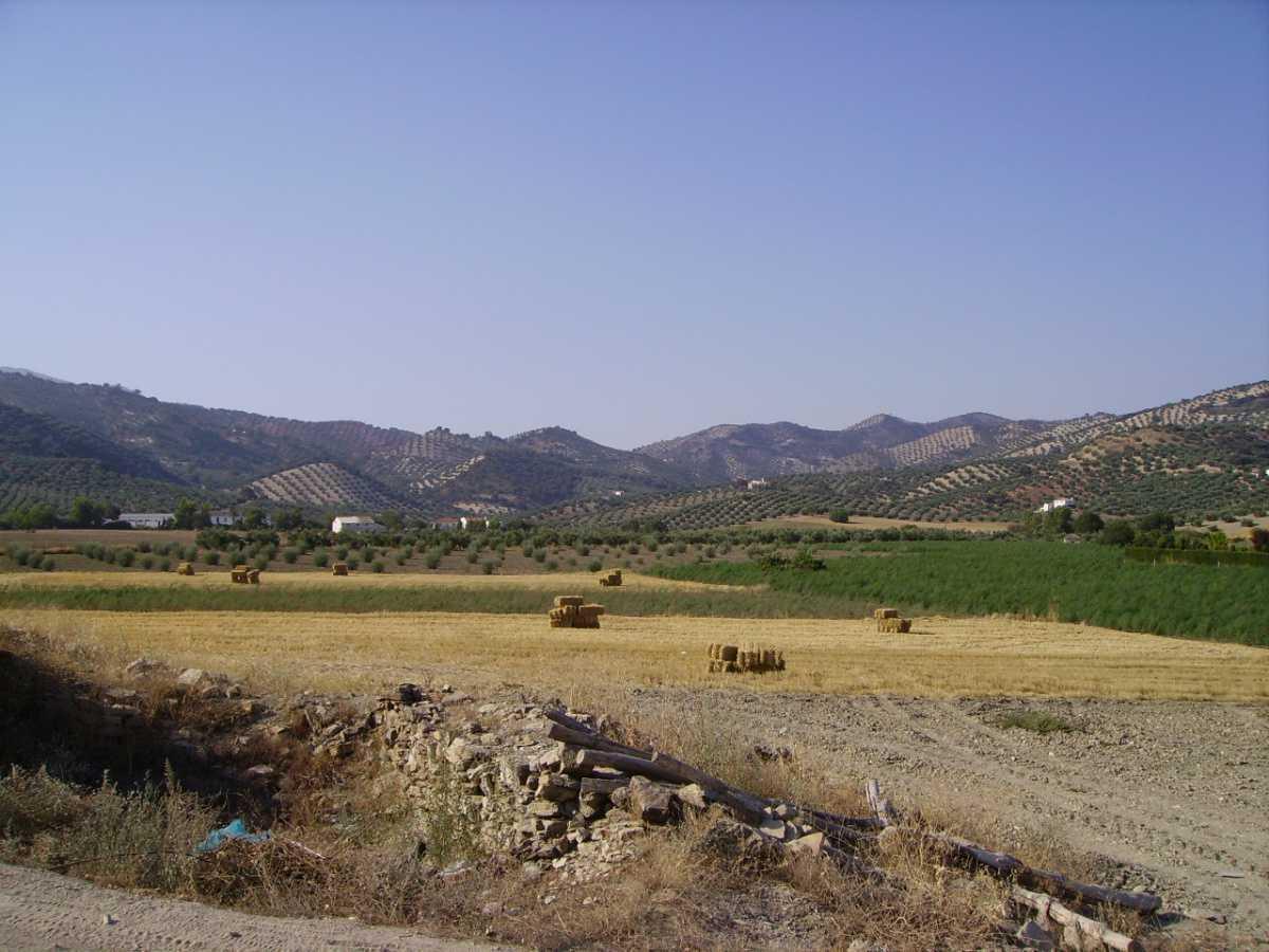 1. Agriculture route 1. Agriculture route
