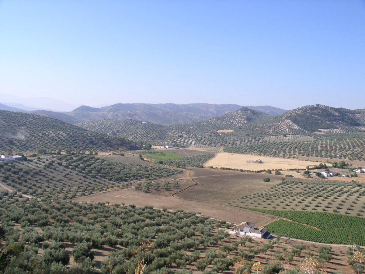 1. Agriculture route 1. Agriculture route