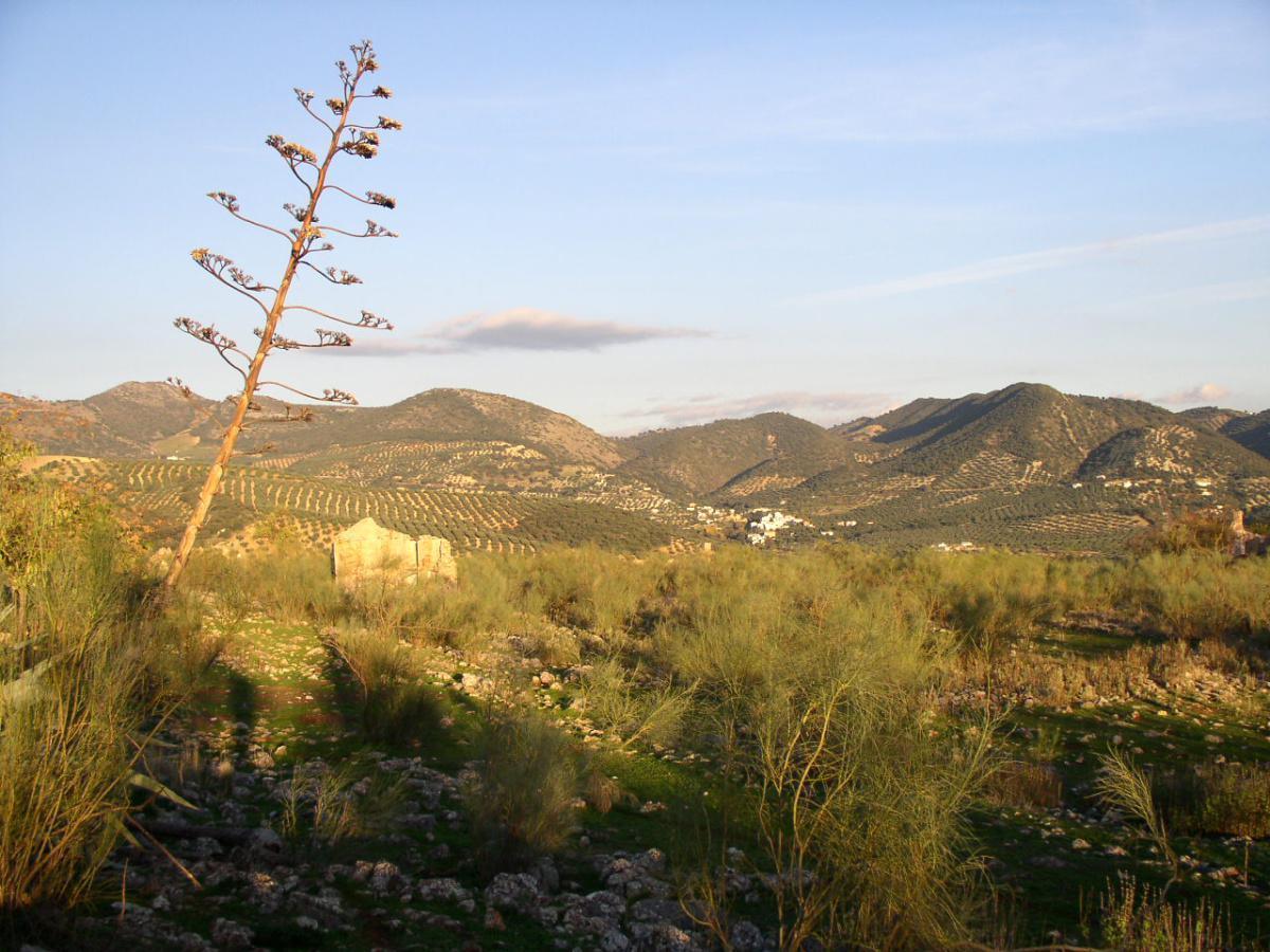 6. Mountain and mining route
