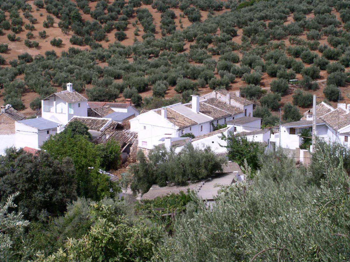 7. Housing route