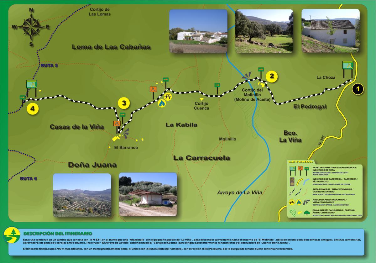 9.Olive Grove and Oil Route