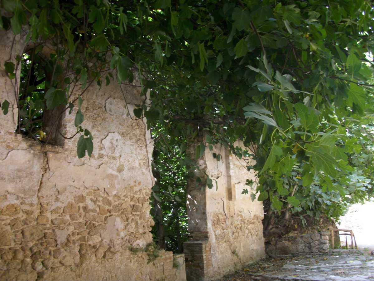 12a. Routes through the Fuentes de Cesna Desert: PATHS 12a. Routes through the Fuentes de Cesna Desert: PATHS