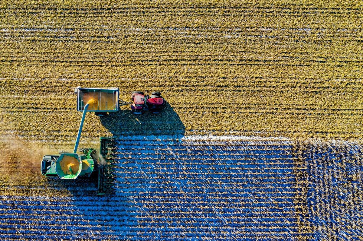 Glyphosate, la fin des ventes aux USA ?